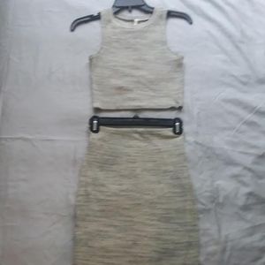 Two piece sleeveless cropped fitted top and skirt
